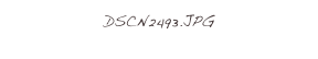 DSCN2493.JPG