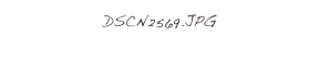 DSCN2569.JPG