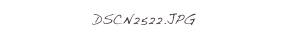 DSCN2522.JPG