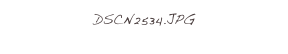 DSCN2534.JPG