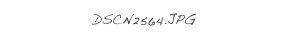 DSCN2564.JPG