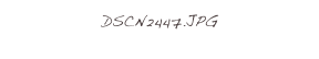 DSCN2447.JPG